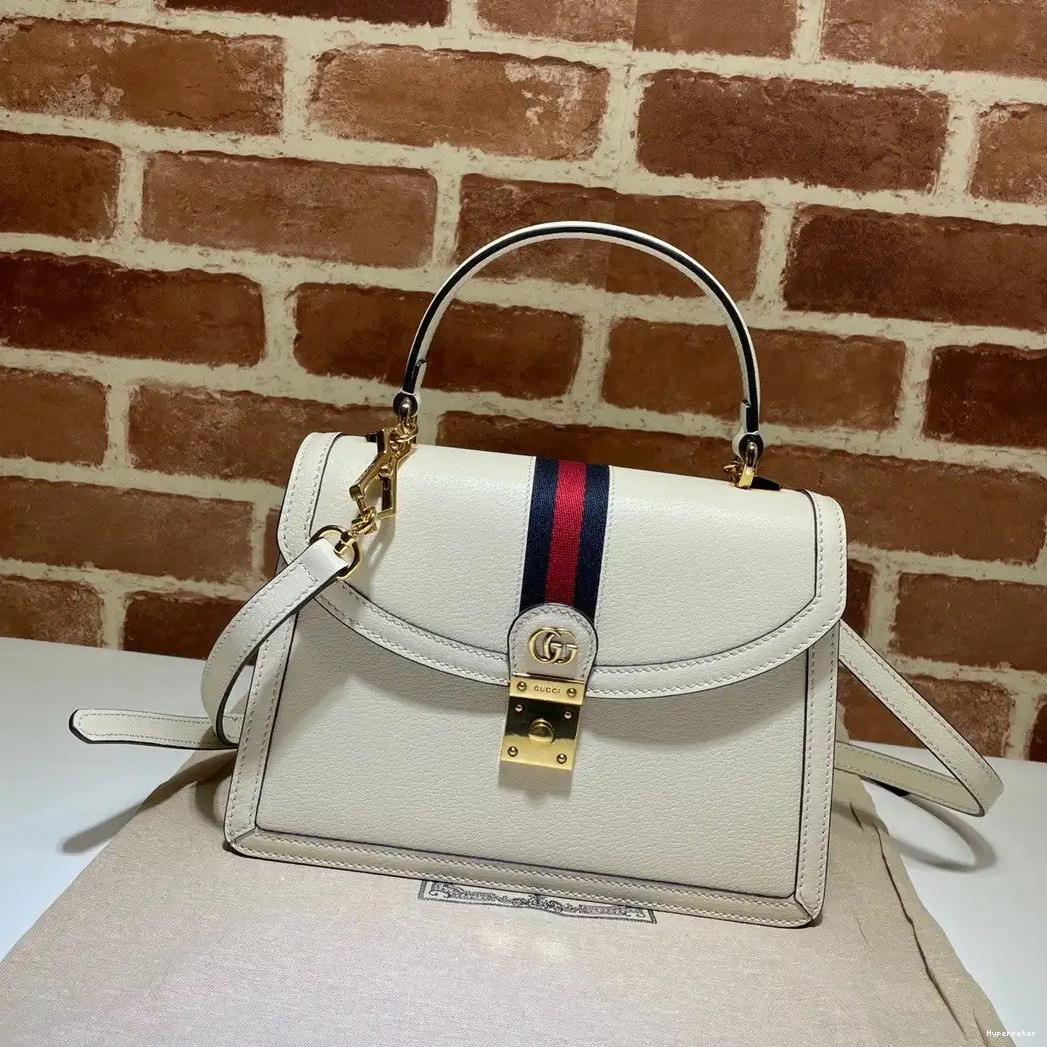 Hyper Peter with top GUCCI Ophidia handle bag small Web 0630